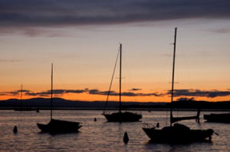 Bay Birch Association Colchester Vermont